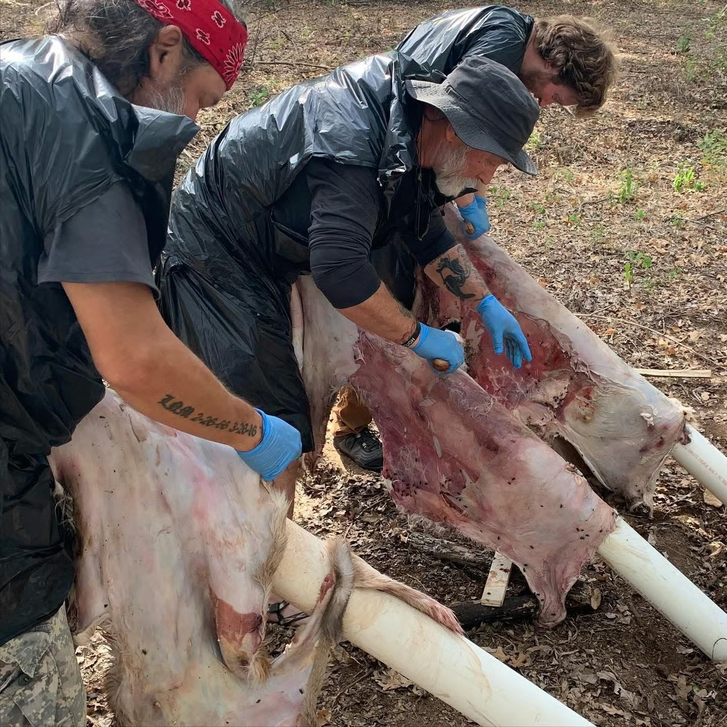 “Hide tanning” September 12-14 2025