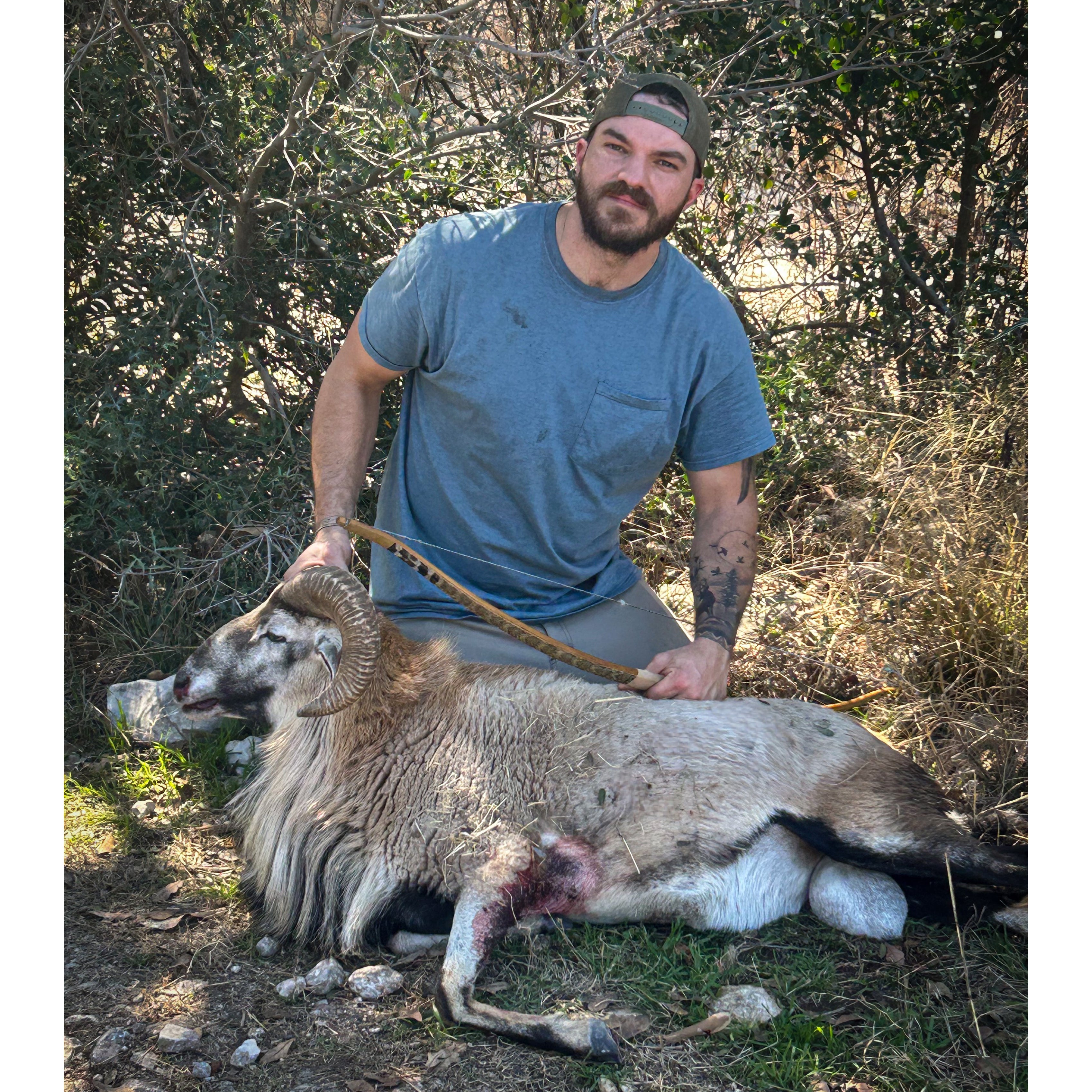 Primal Ram program