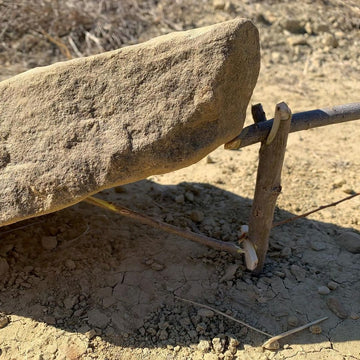 “Primitive trapping and foraging” August 16-17 2025